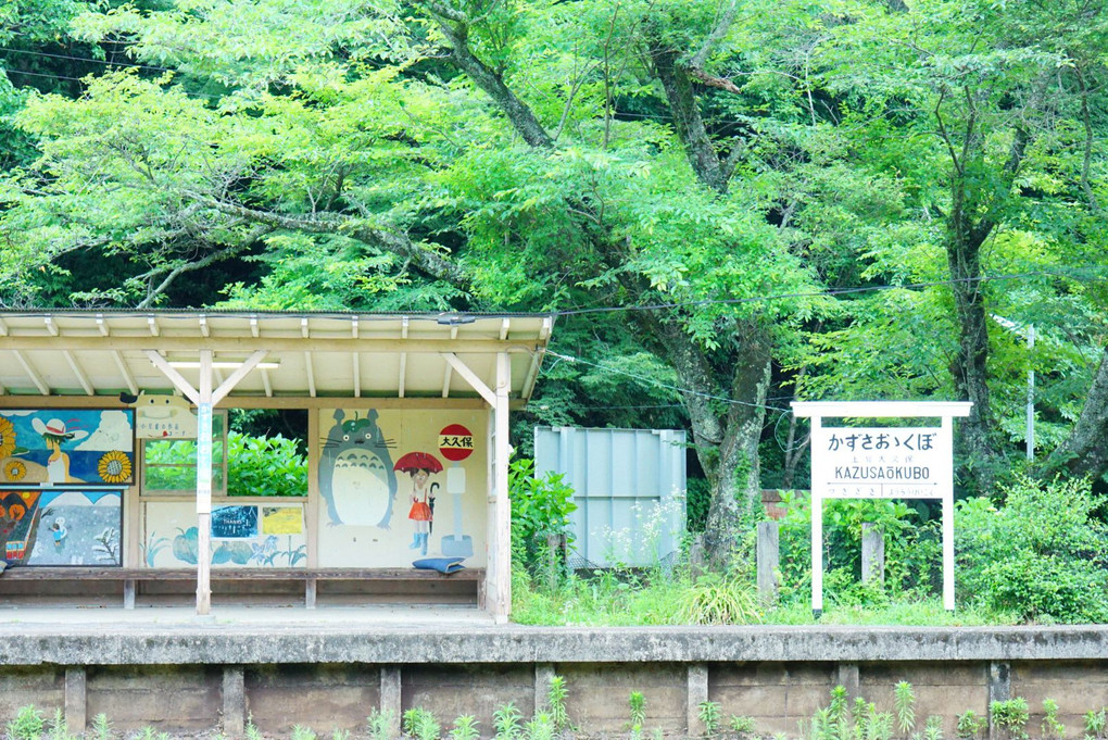 雨の小湊鉄道🚃