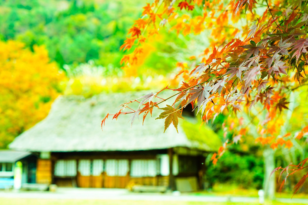 ダイヤモンド富士見れず🍁