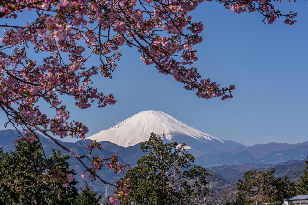 クッキリ富士山