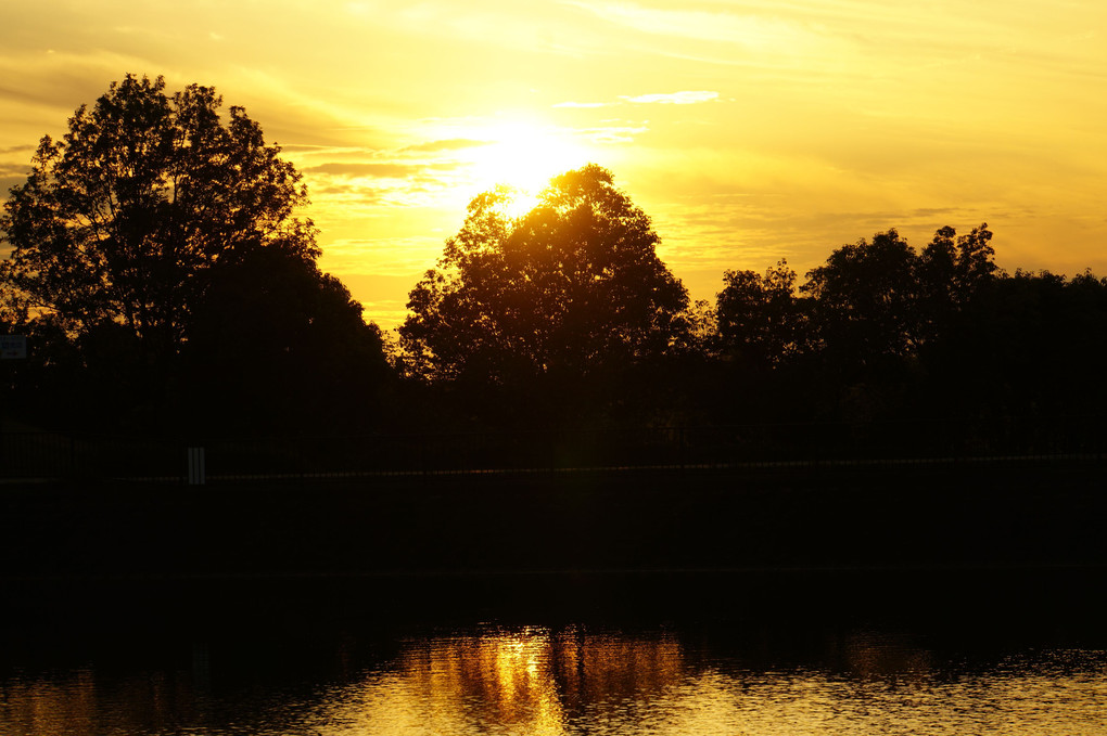 公園の池と夕焼け空♪