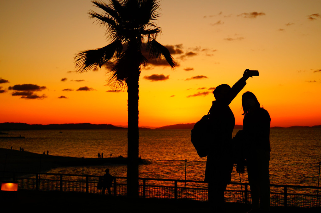 夕暮れのひとこま♪