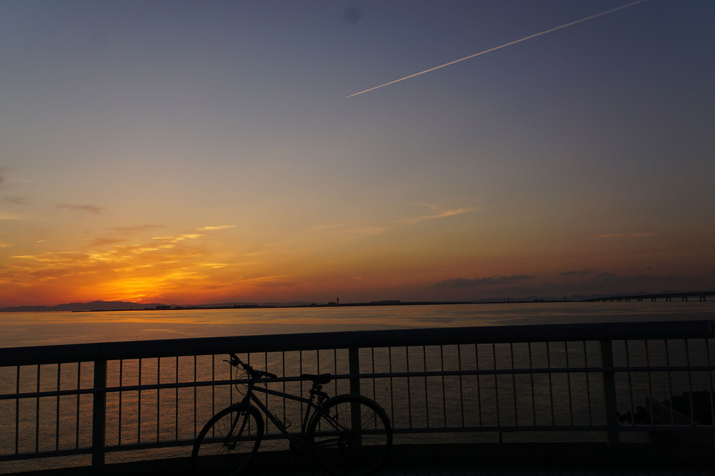 大好きな夕日と自転車♪