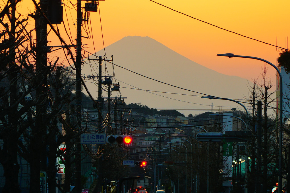 横浜からも見える富士