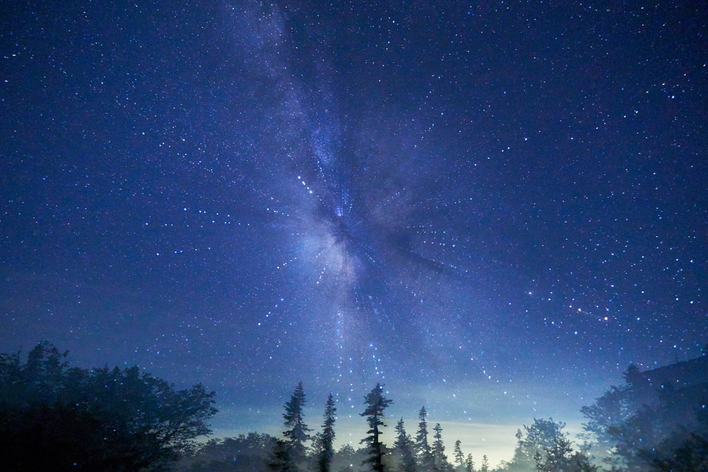 星降る夜に