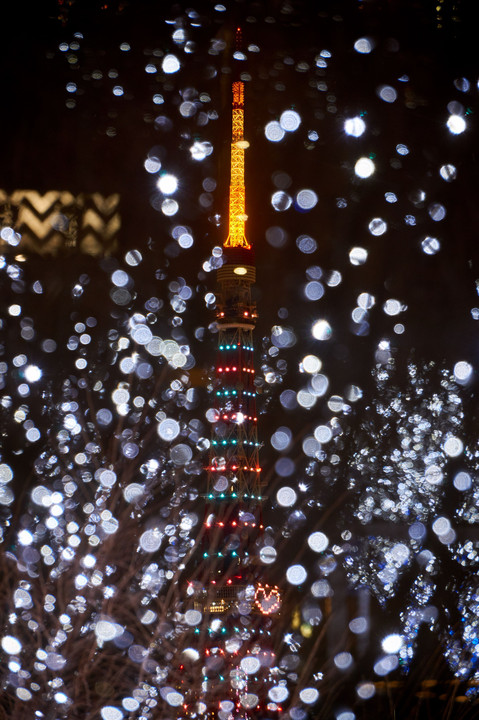 クリスマス　東京タワーに　雪が降る♪　　～Christmas Photo　その１