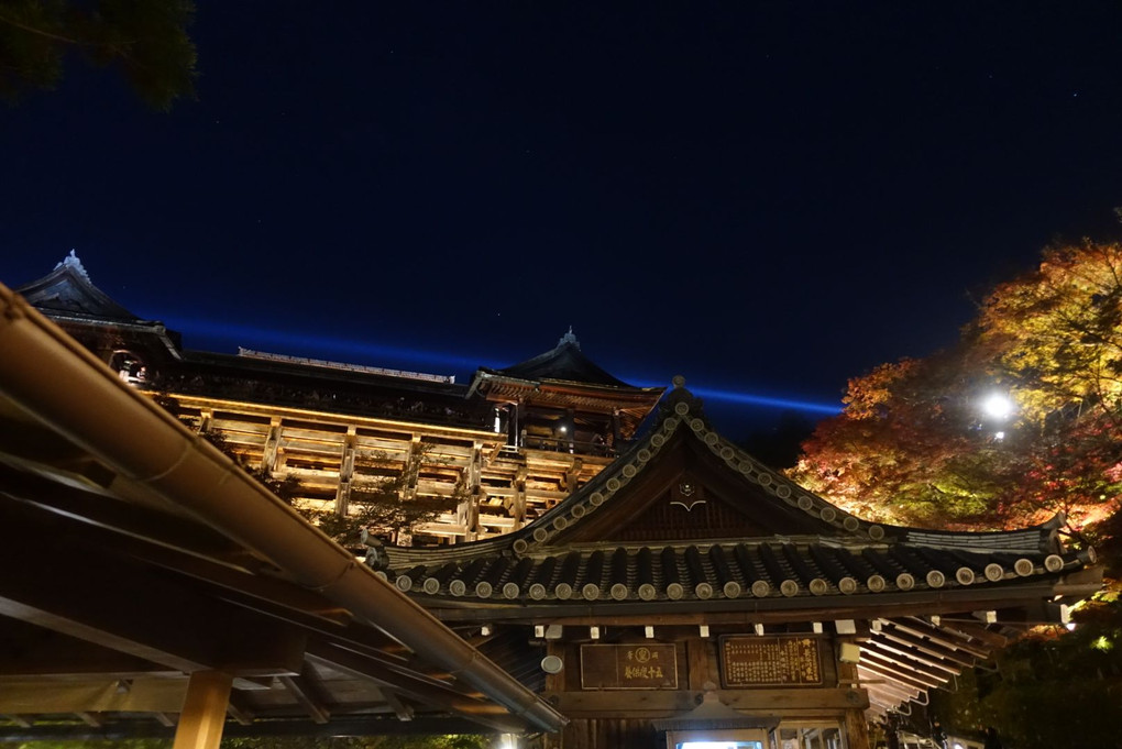 青と赤の清水寺