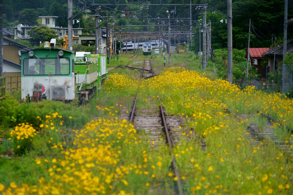 花の駅