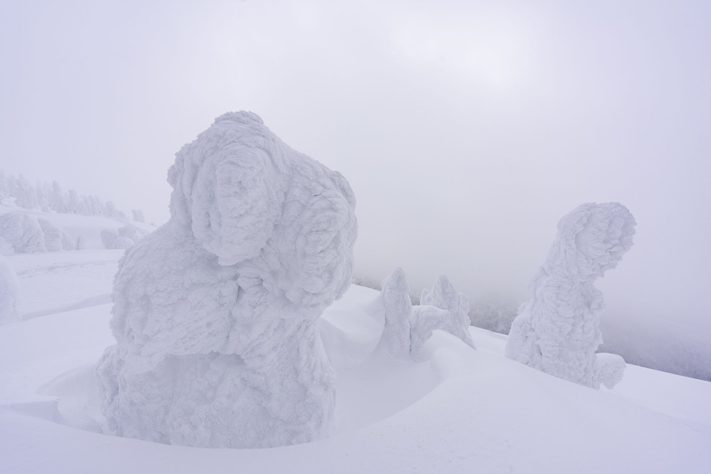 雪と風の彫刻