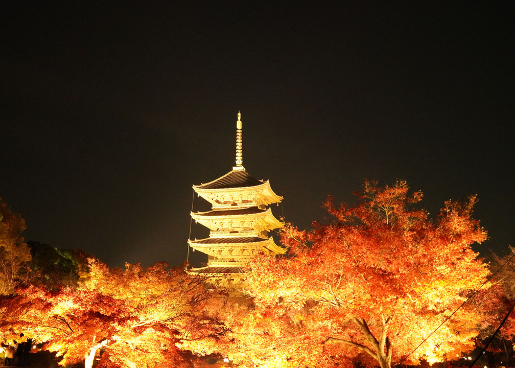 京都東寺ライトアップ撮影