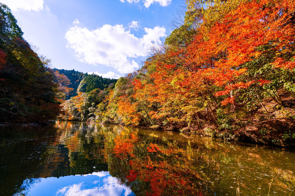 亀山湖クルージング