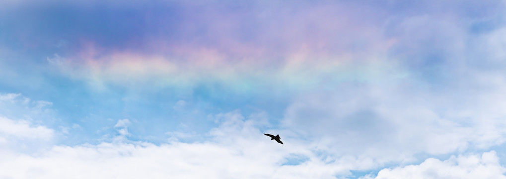 彩雲に飛ぶ