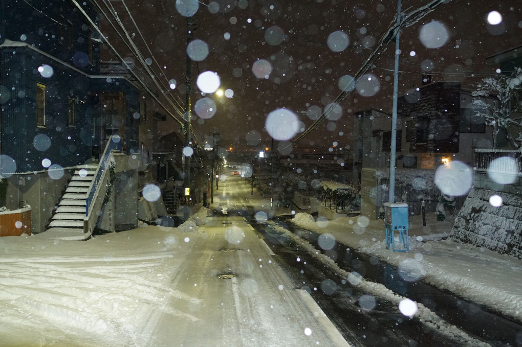 札幌に降る雪