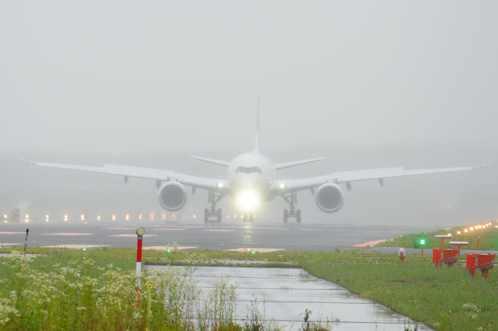 A350との再会