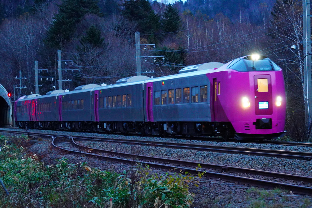 ピンクの特急列車