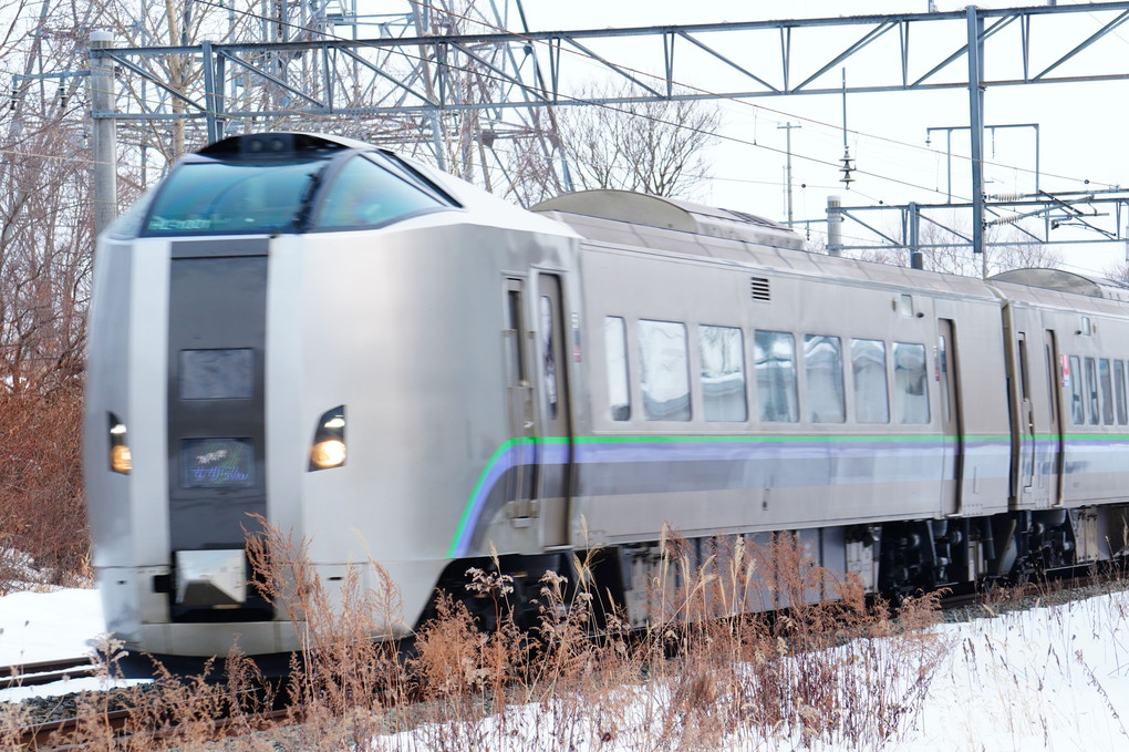 特急と通勤電車とレッドベア