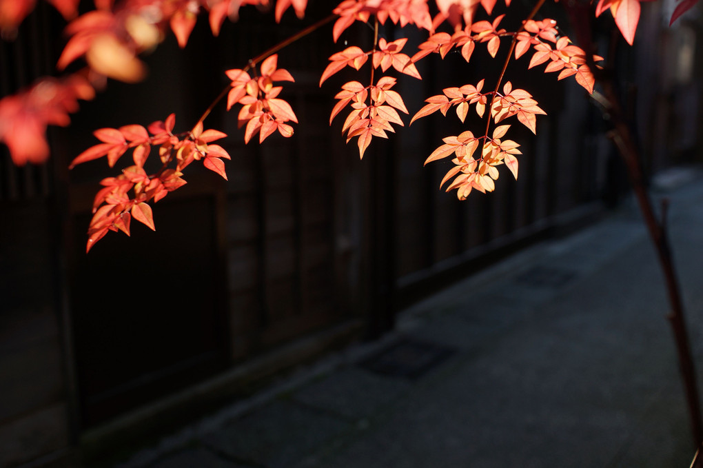 金沢　三茶屋街