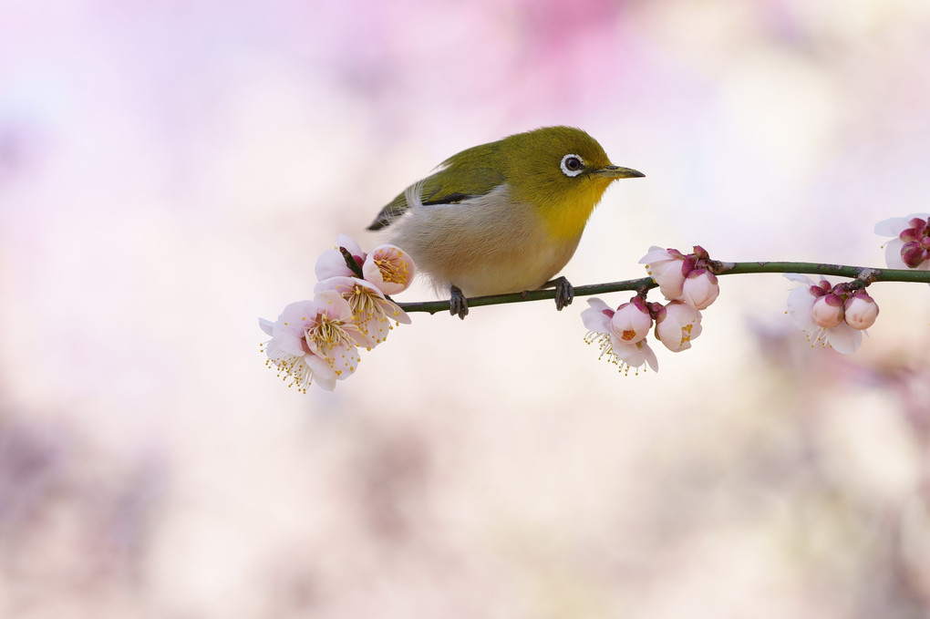 春の光を感じて