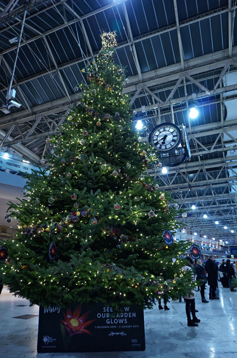 Waterloo駅クリスマスツリー