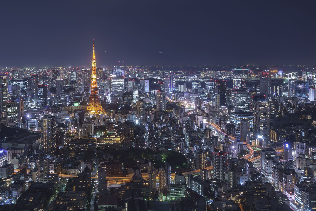 ザ・東京の夜景