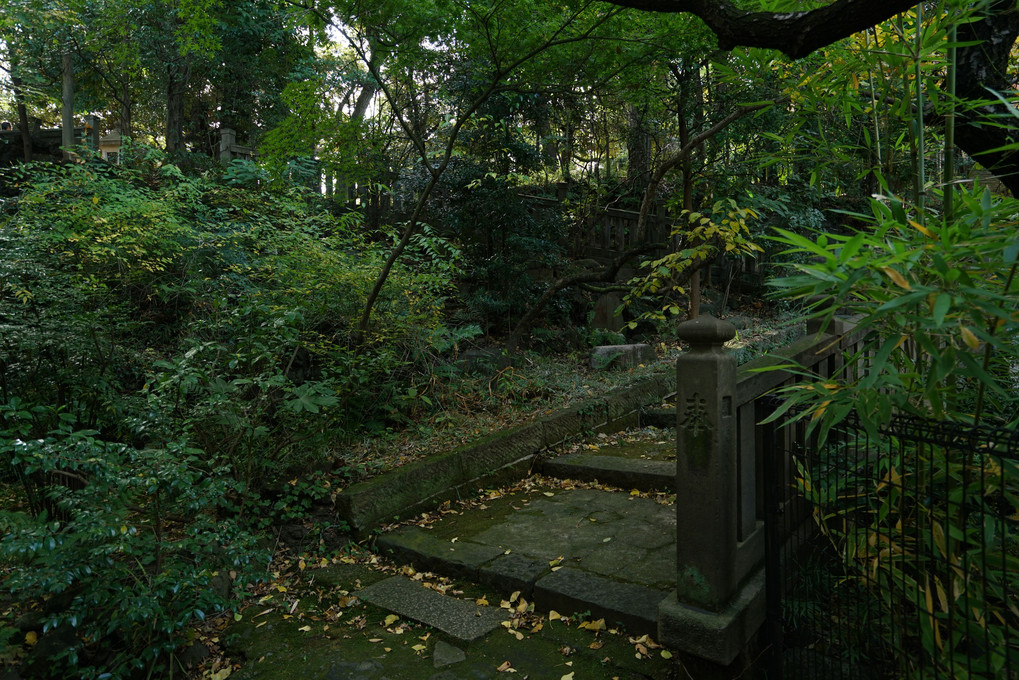 早朝・赤坂・歩記→氷川神社