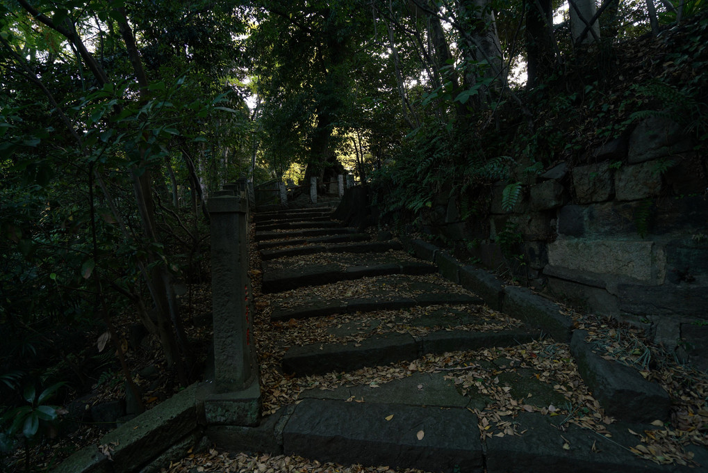 早朝・赤坂・歩記→氷川神社