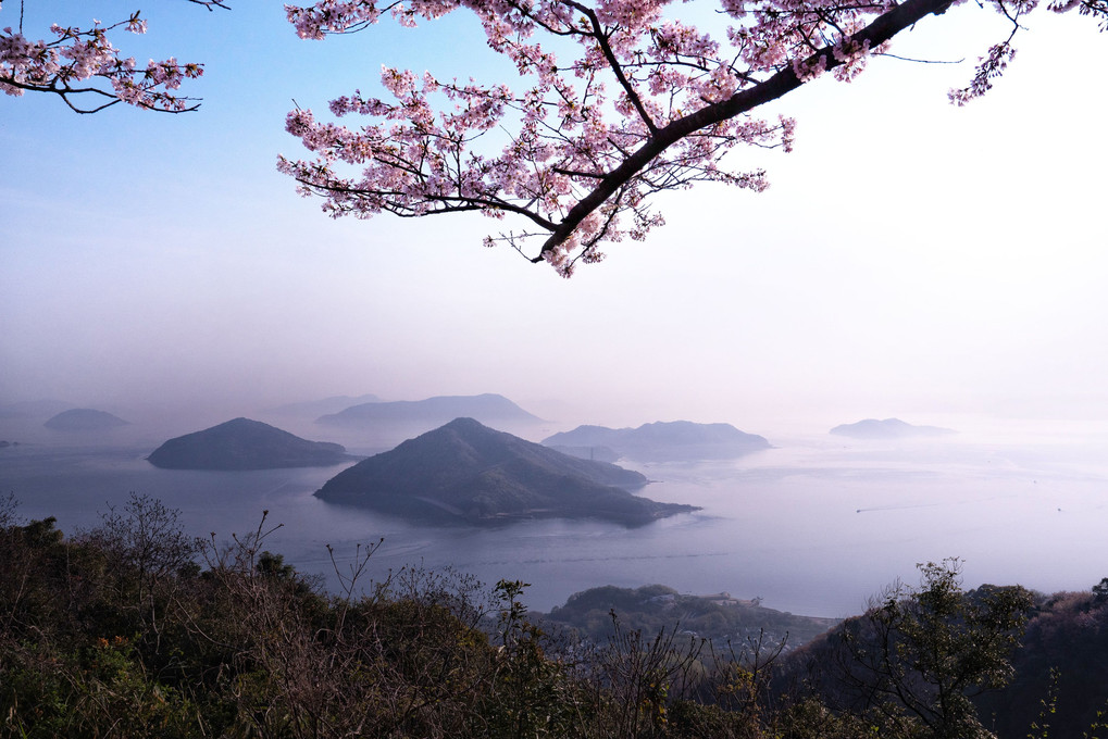 すこし明かりて～紫雲出山の桜～