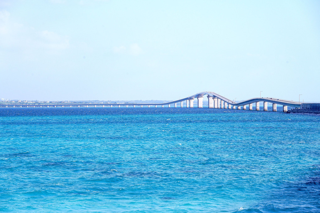 Bridge〜島と島を繋ぐ〜