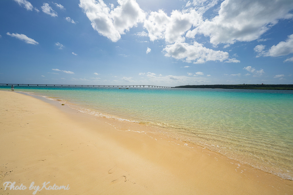 Bridge〜島と島を繋ぐ〜