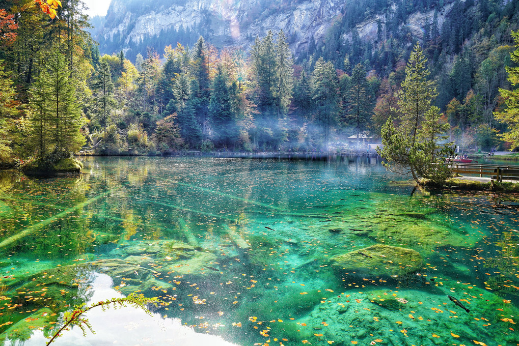 湖面が秋色に染まるとき✨～Blausee in Switzerland～
