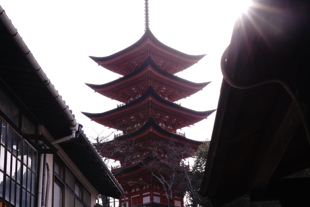 豊国神社と桜