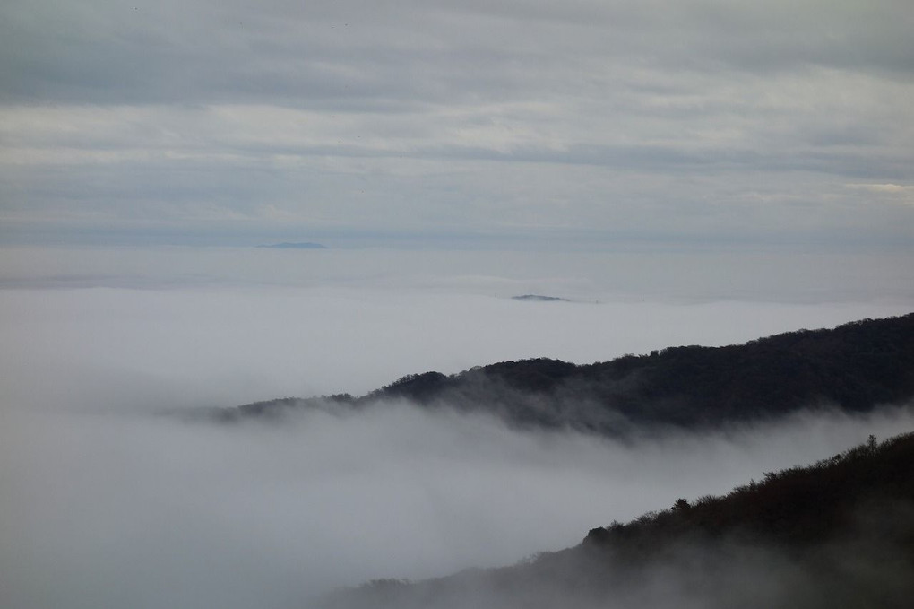 箱根ターンパイクからの雲海
