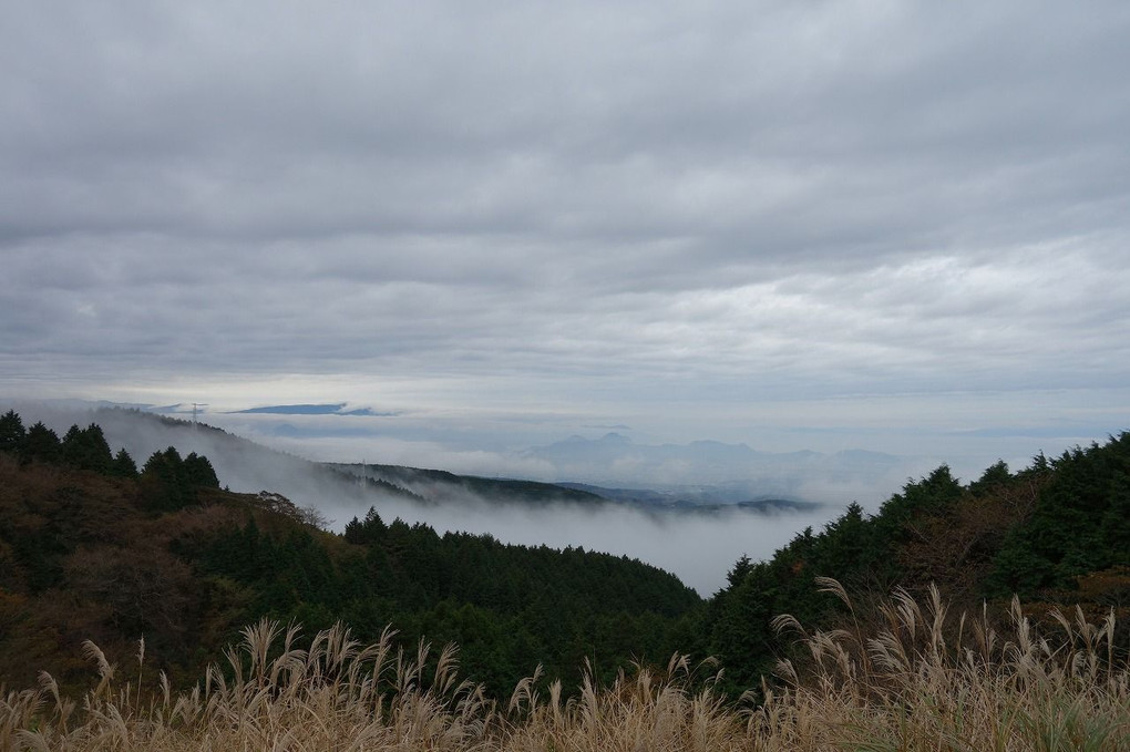 十国峠レストハウスからの雲海