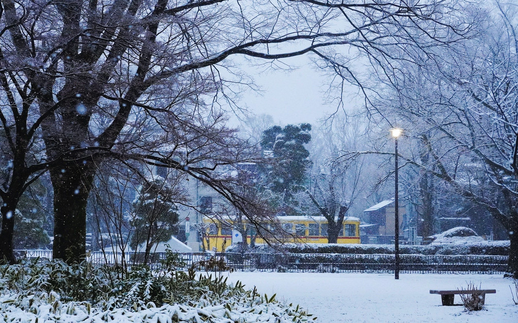 雪の小金井公園