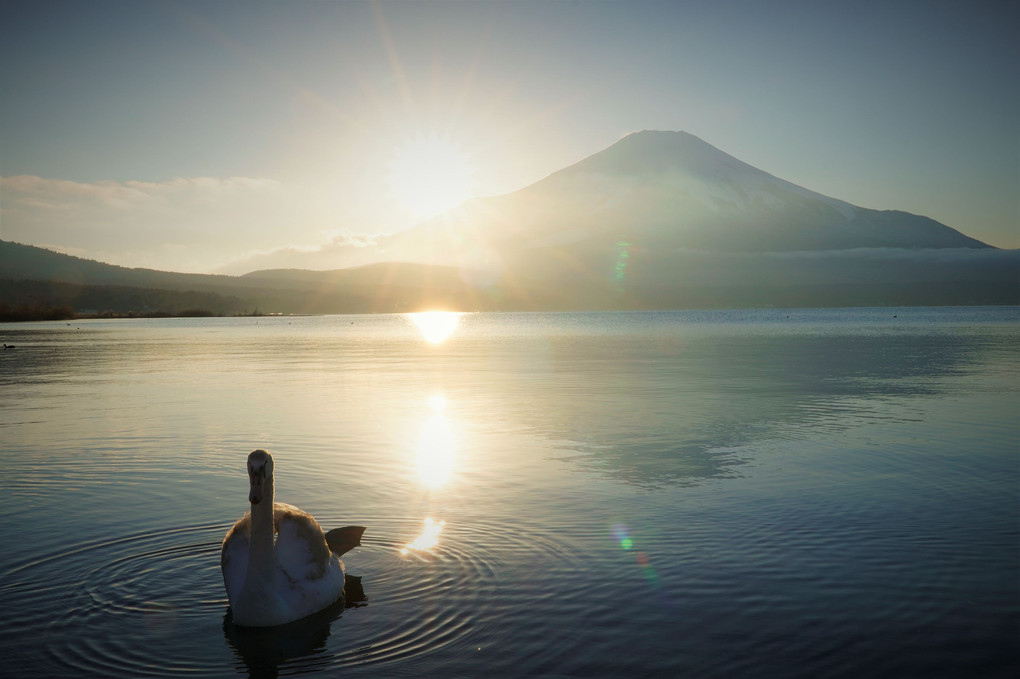 山中湖夕景