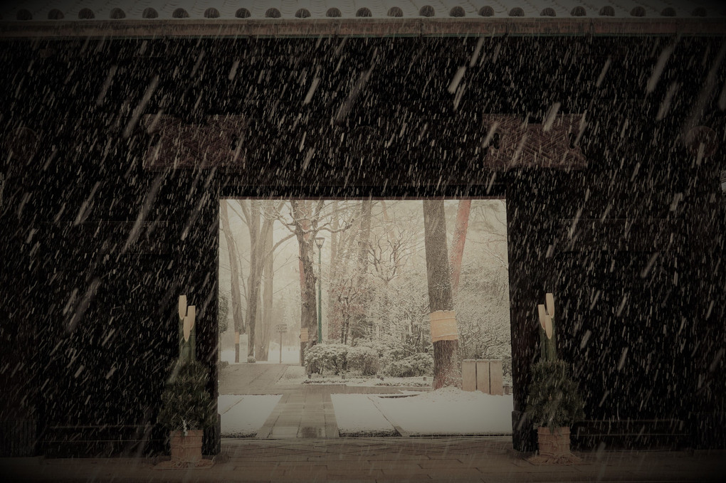 東京雪景色