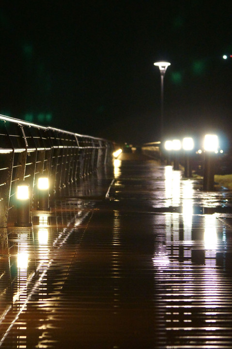 冷雨に光る