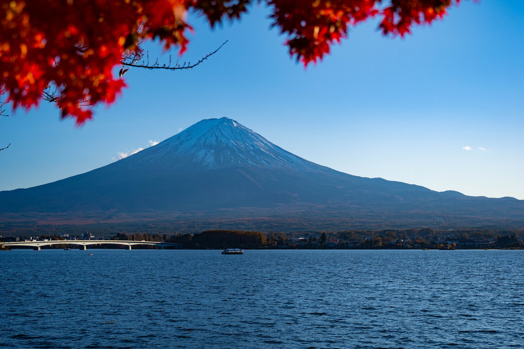 紅葉と河口湖からの富士