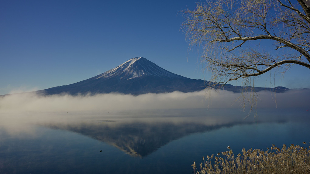 新雪と霧の河口湖