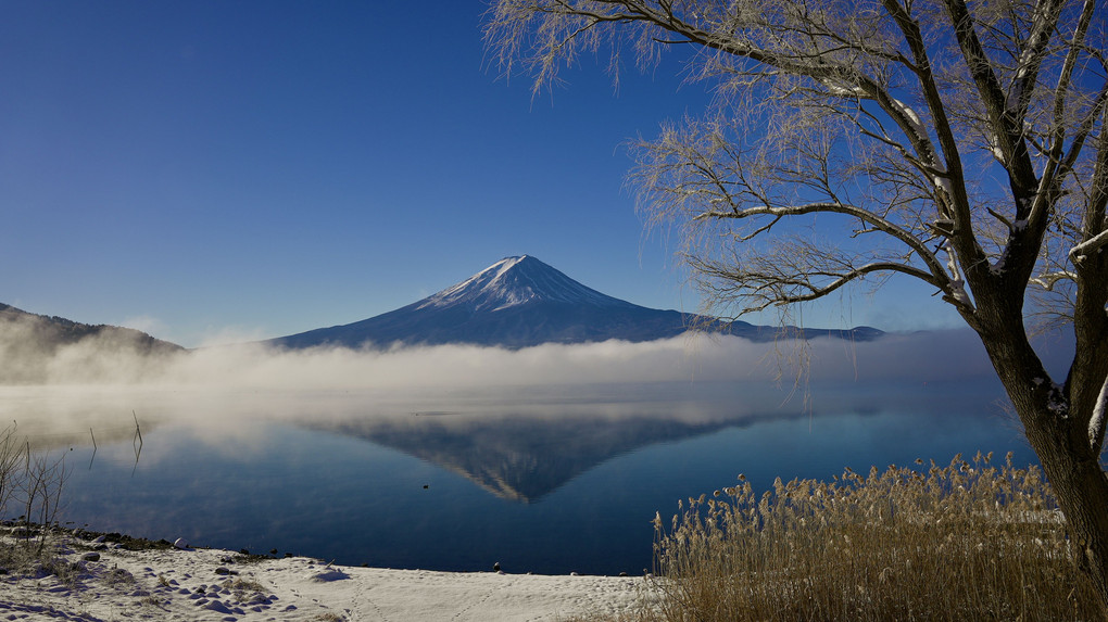 新雪と霧の河口湖