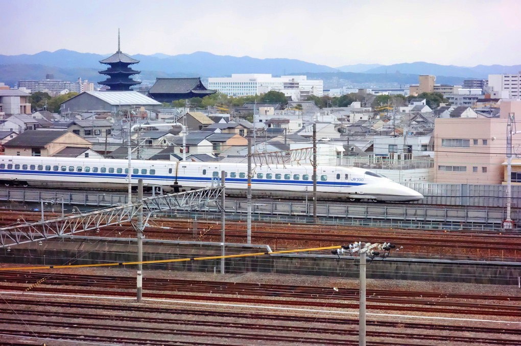 もはや京都の鉄道写真の定番ですね。