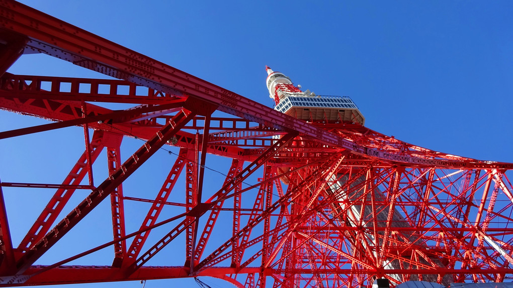 朝の東京タワー