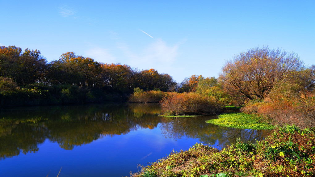 晩秋の河畔　 Riverside in late autumn
