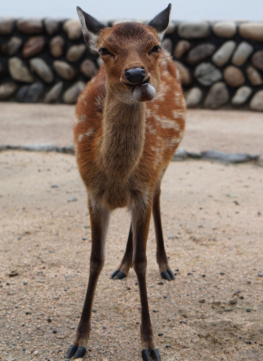 ご満悦