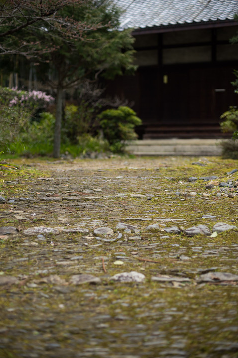 静　崇泰院