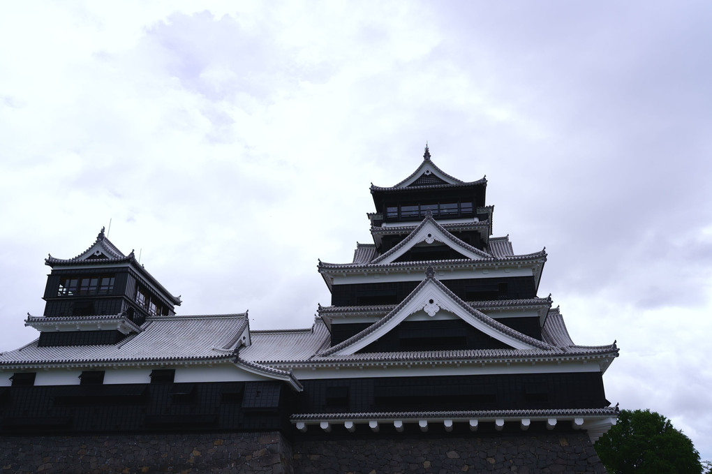 蘇る熊本城