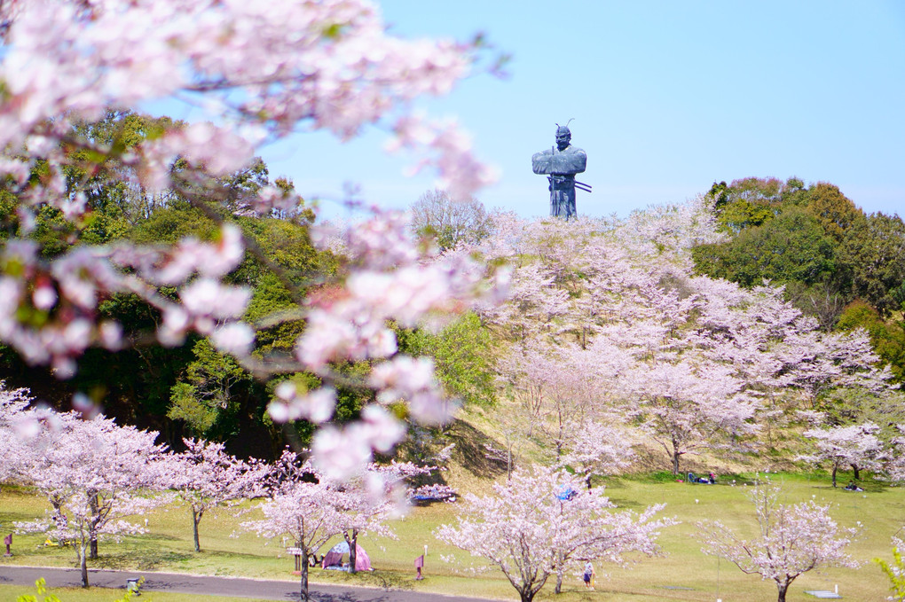 見つめるその先には…