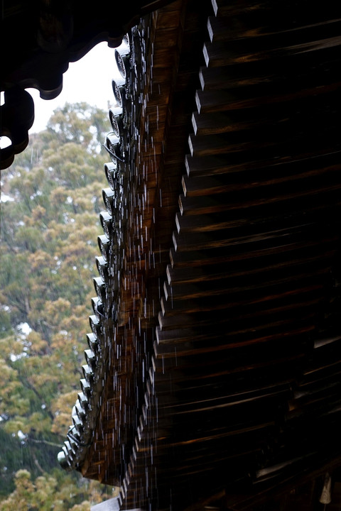 高野山で雨景色撮影