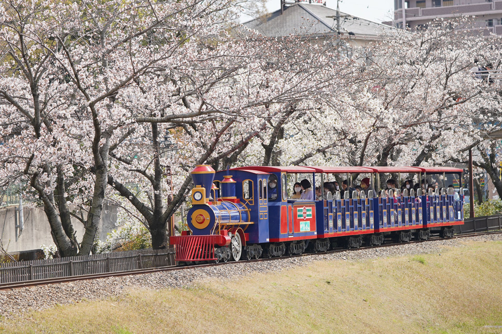 明石公園　その２