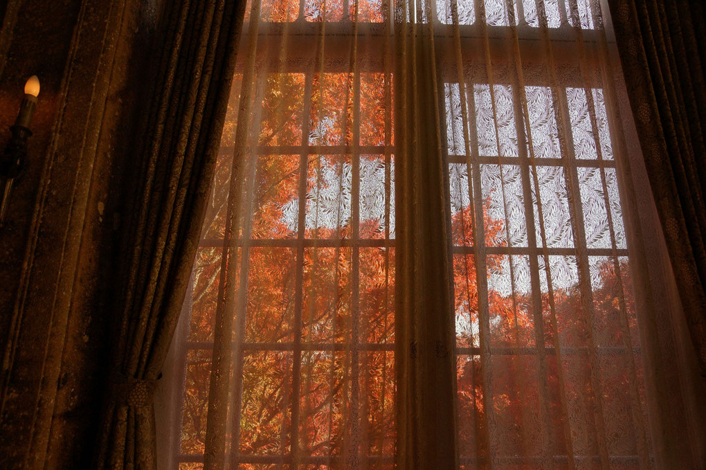 窓の外は燃える秋
