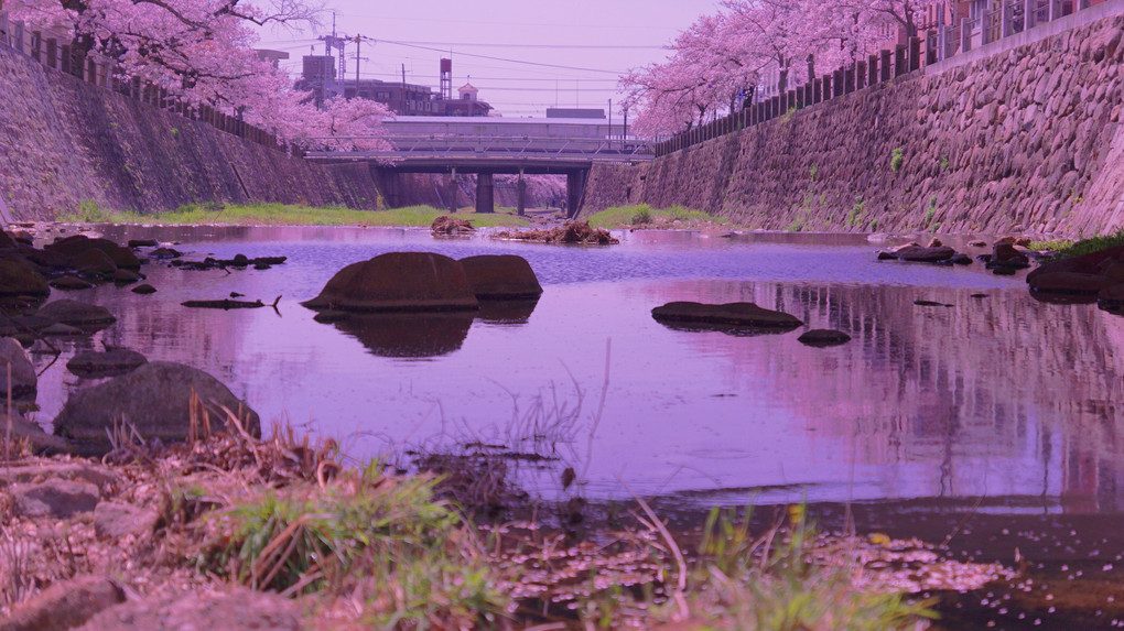 阪急芦屋川の春日